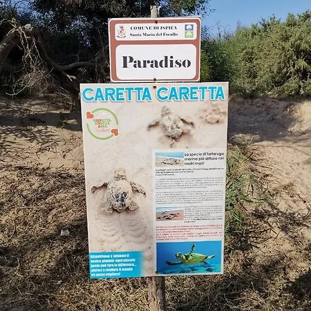 Paradiso *